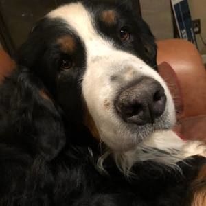 Meet your Posher, Catharine